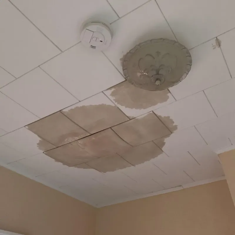 Ceiling Water Damage Repair in Hurley, WI