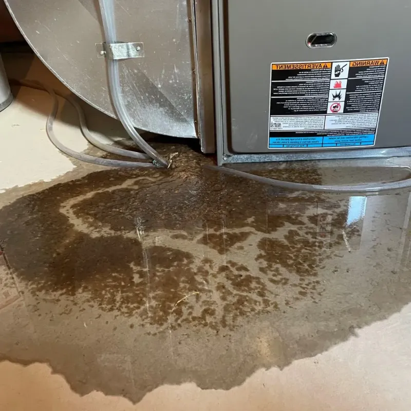 Pipe Burst and Leak Restoration in Hurley, WI