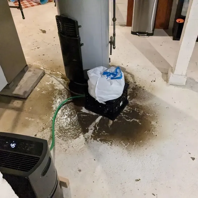 Sewage Backup Cleanup Service in Hurley, WI